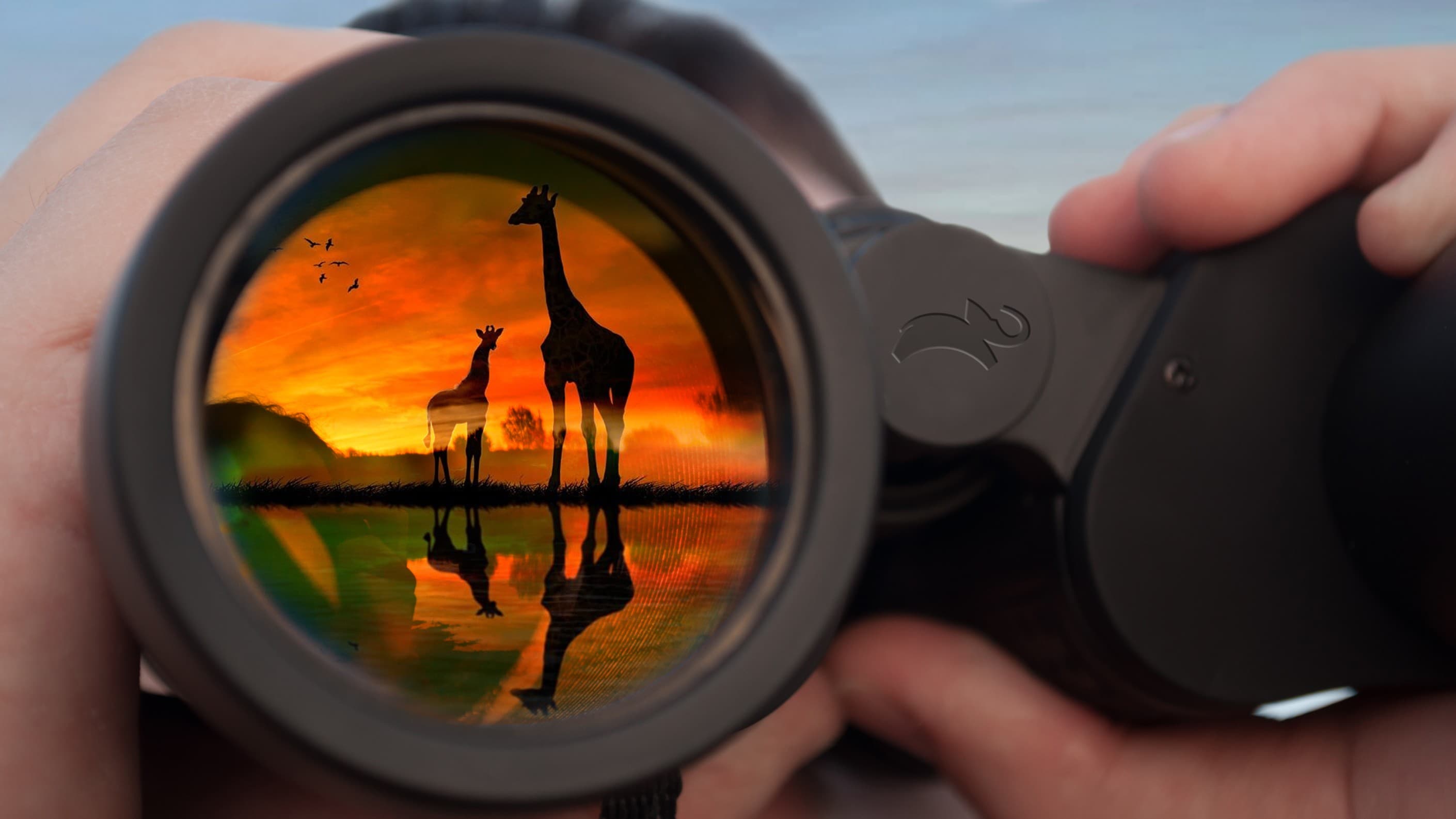 Animal Planet content