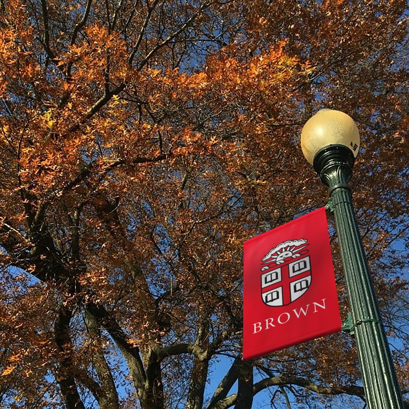 Brown University content