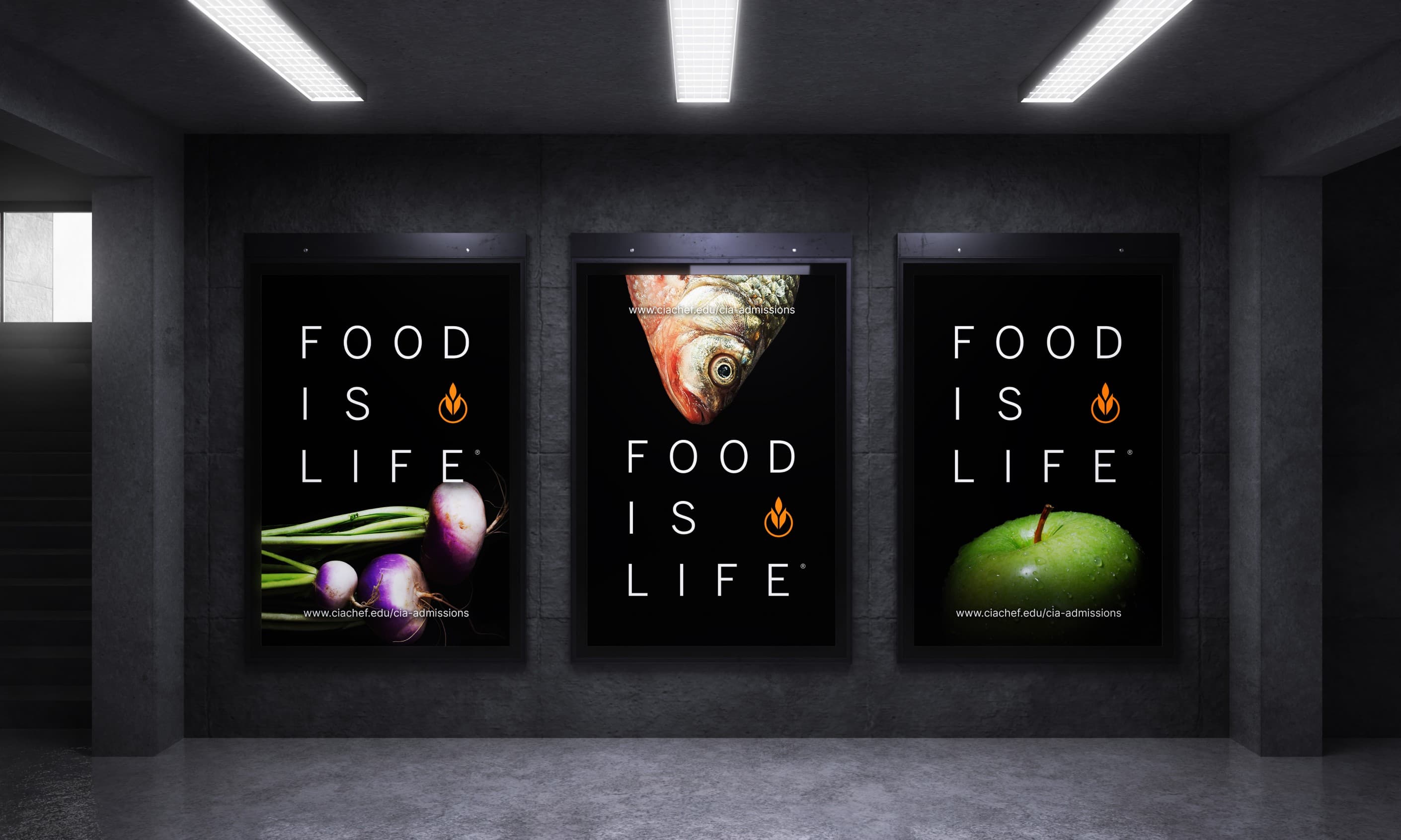 The Culinary Institute of America content