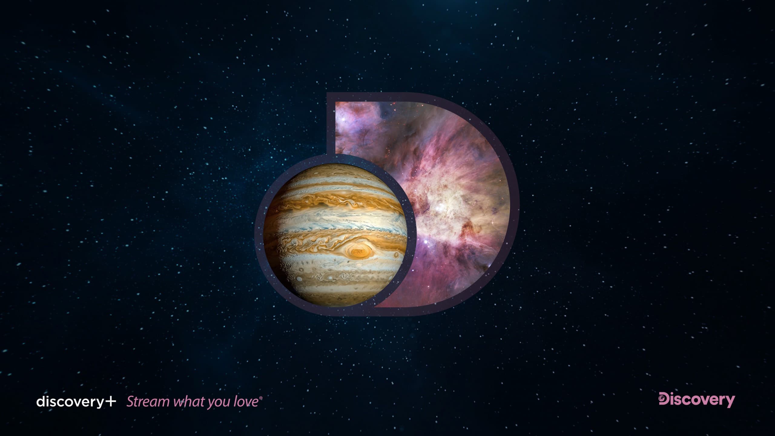 discovery+ content