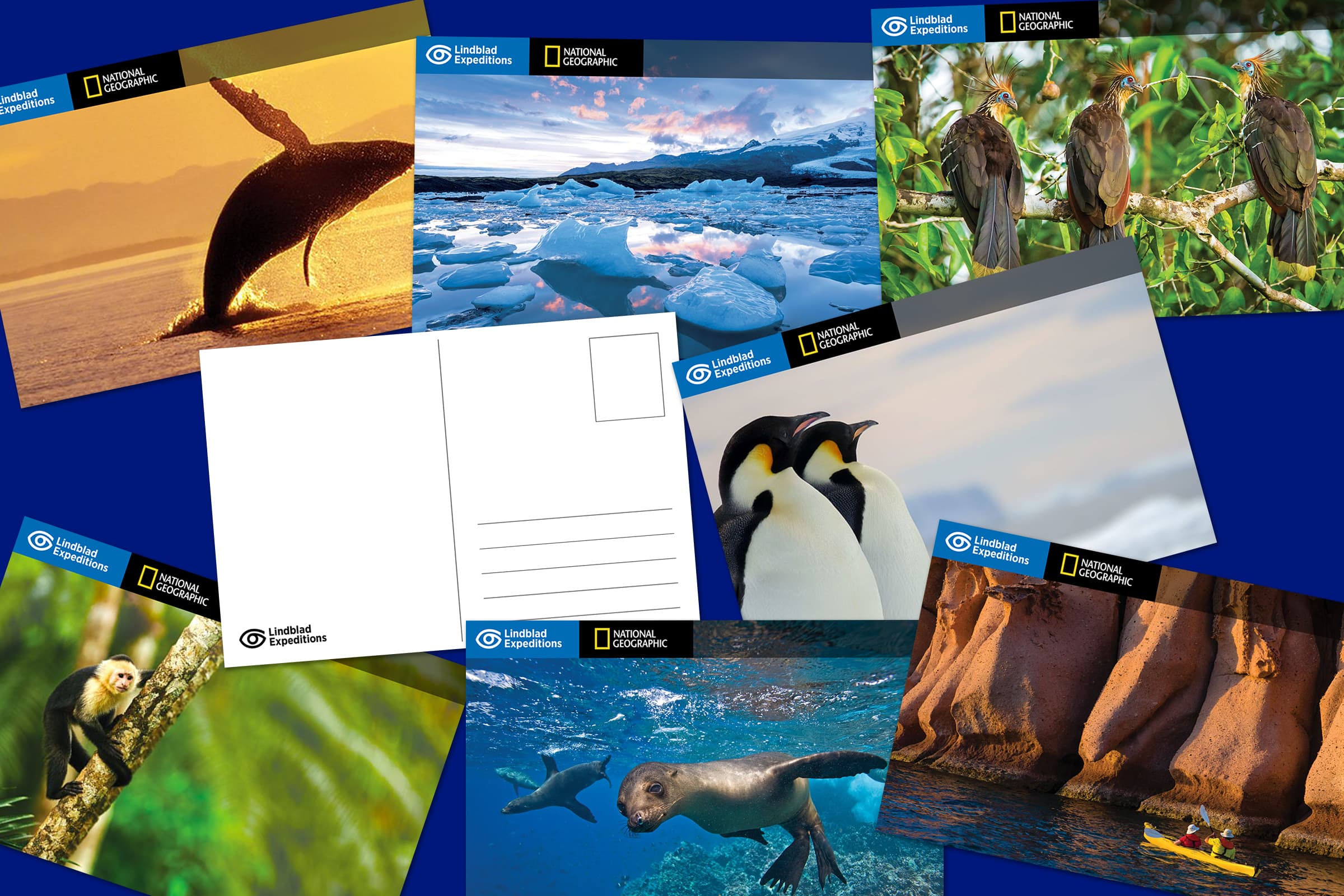 Lindblad Expeditions content