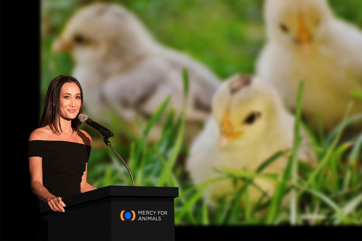 Mercy For Animals content