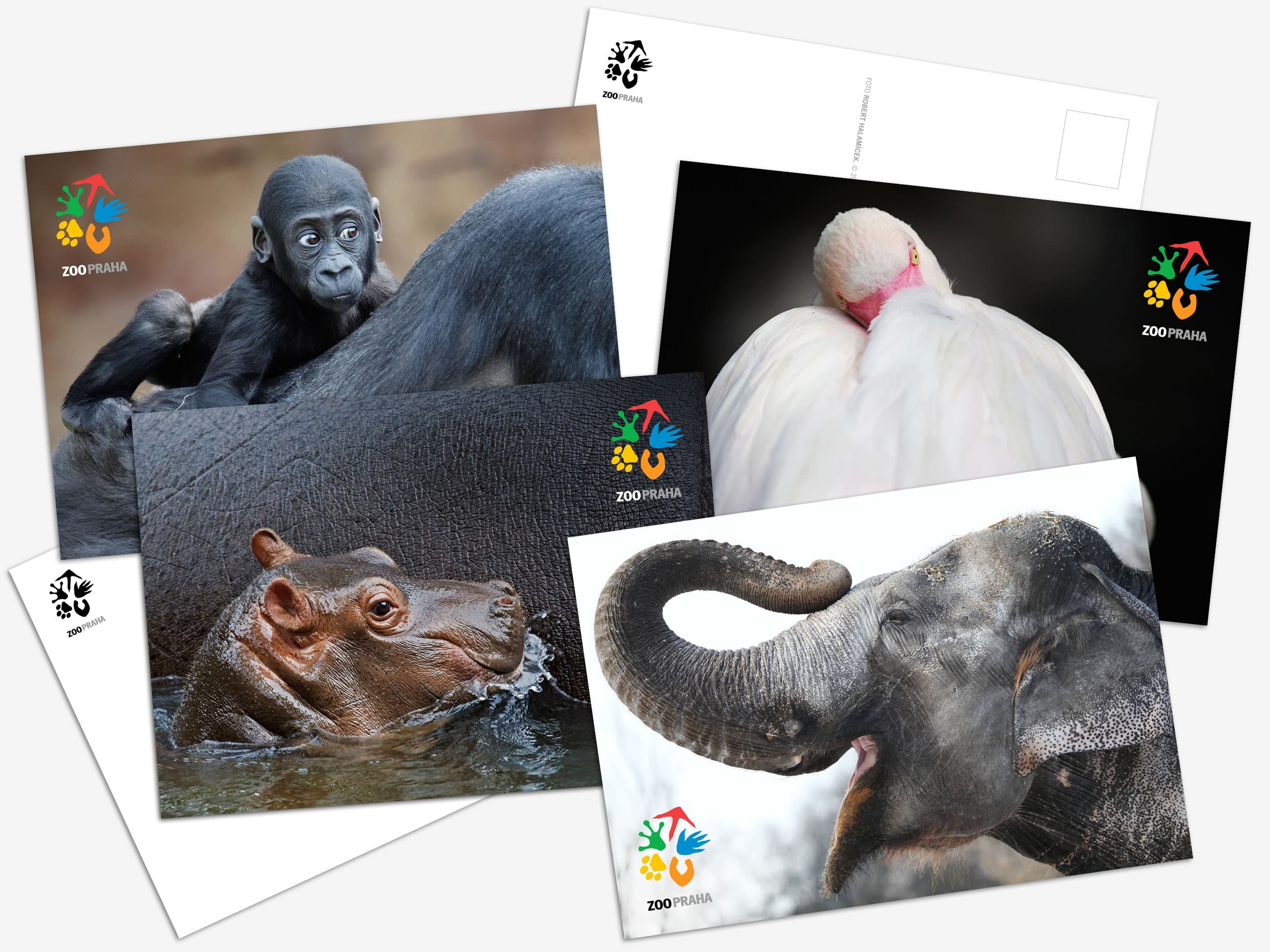 Prague Zoo content