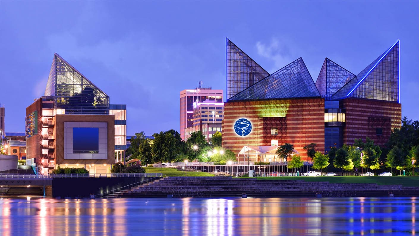 Tennessee Aquarium content