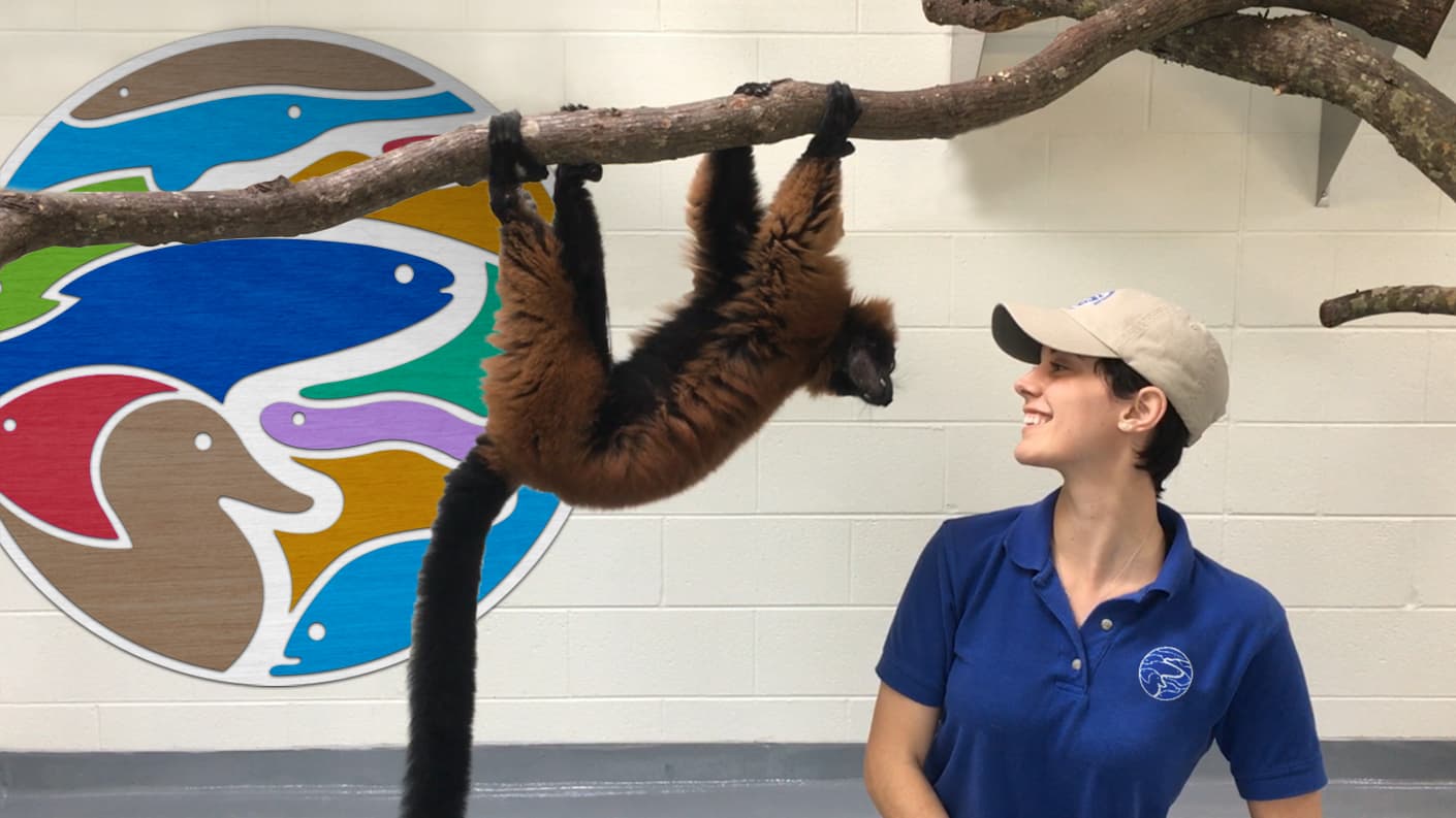 Tennessee Aquarium content