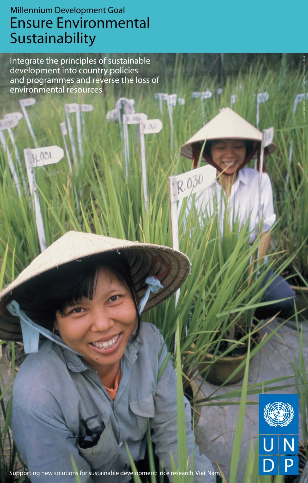 United Nations Development Programme content