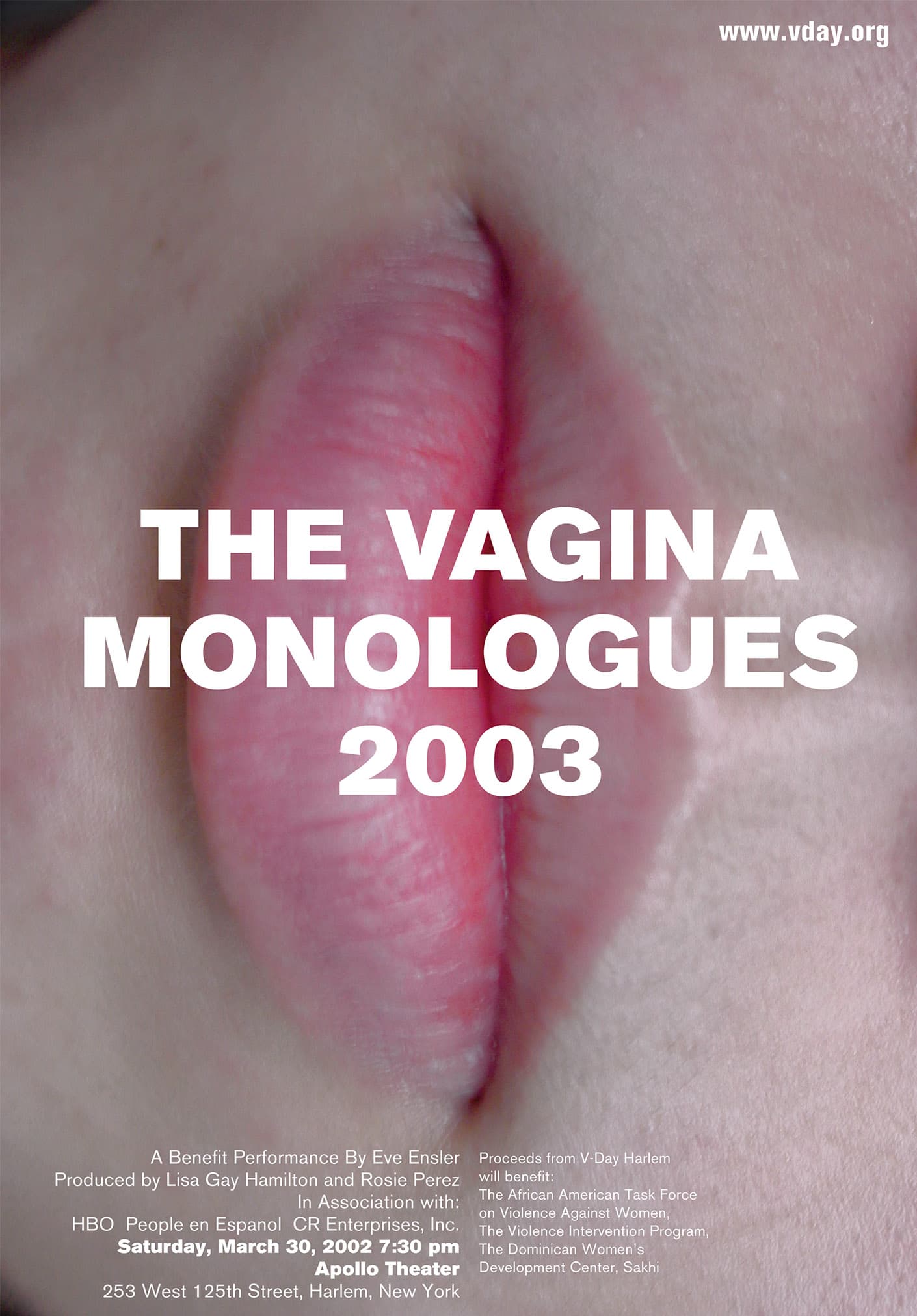 Vagina Monologues Poster content