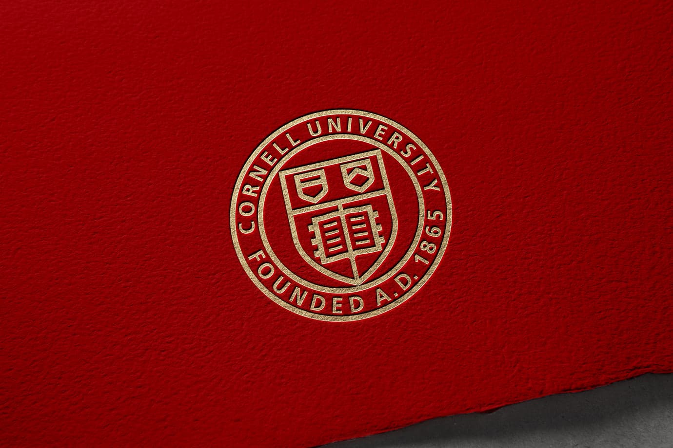 Cornell University content