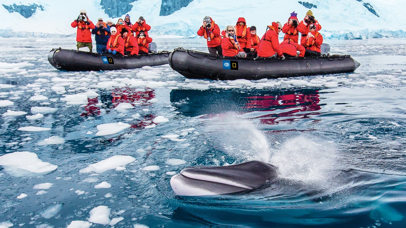 Lindblad Expeditions content