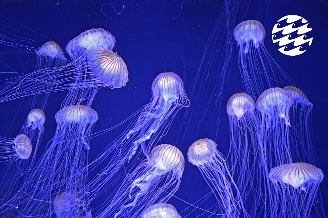 National Aquarium in Baltimore content