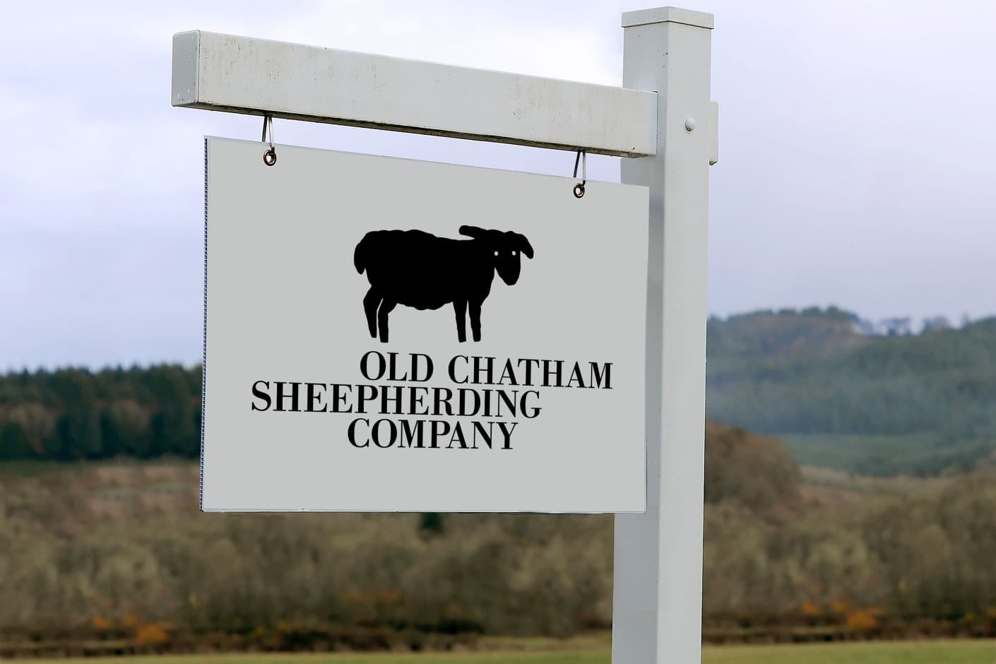 Old Chatham Sheepherding Company content