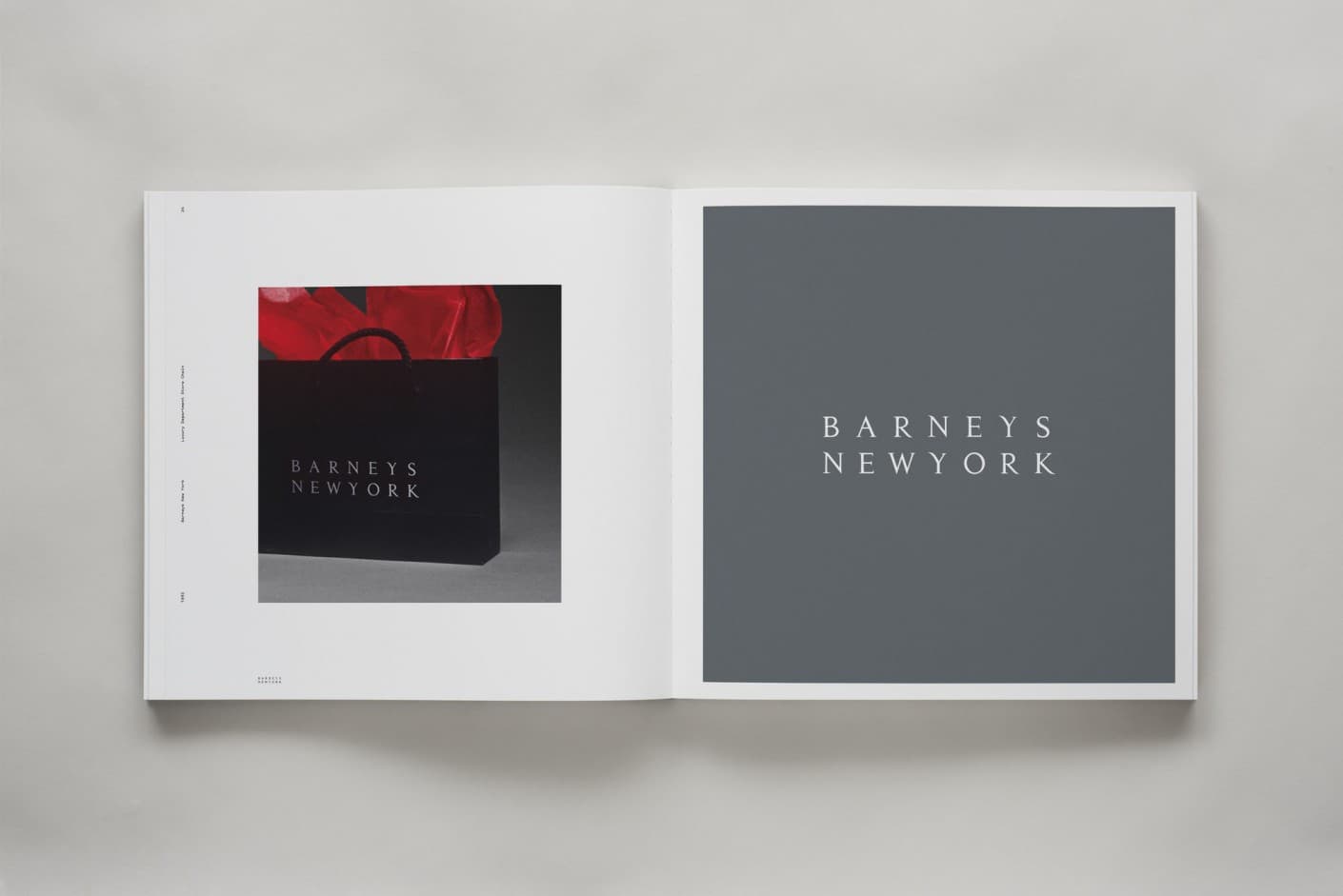 Identity: Chermayeff & Geismar & Haviv content